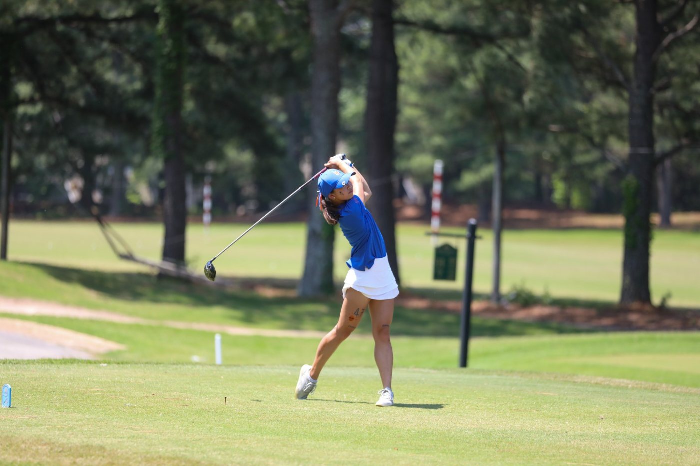 Off the tee: collegiate golf